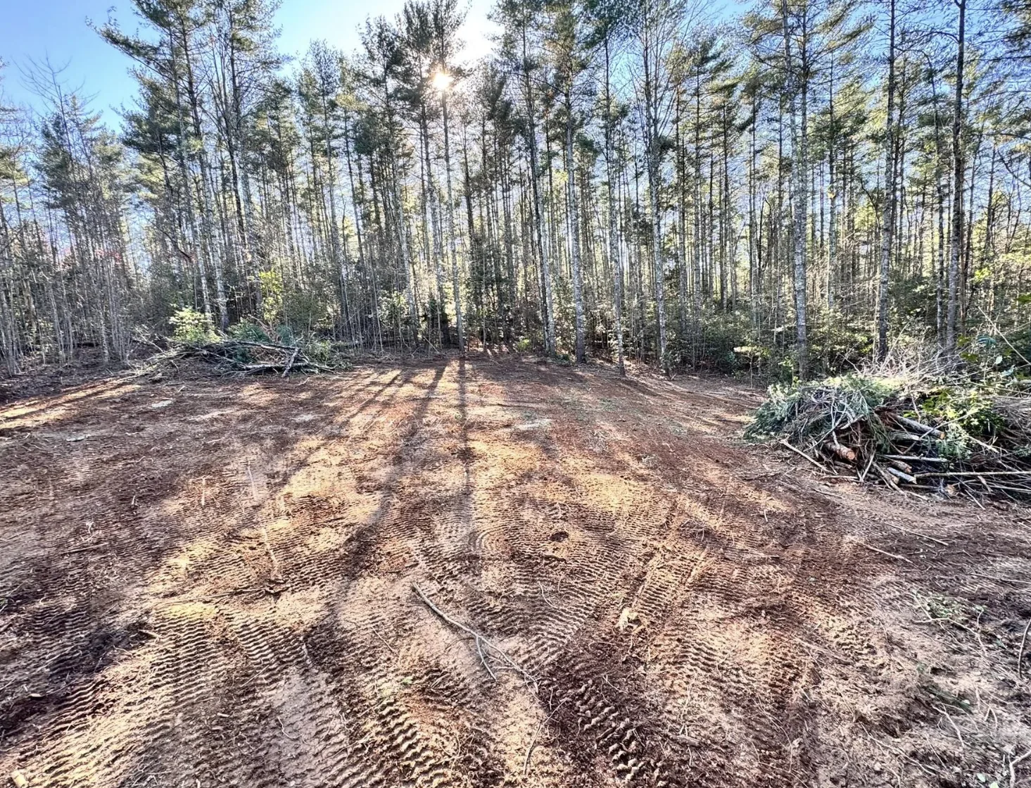 Freshly cleared timber lot with brush and debris staged for removal