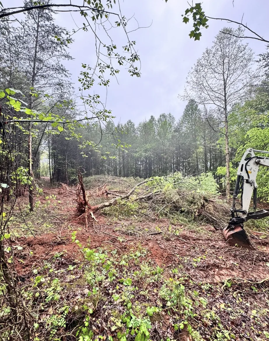 Forestry mulching and land clearing in progress on an overgrown lot